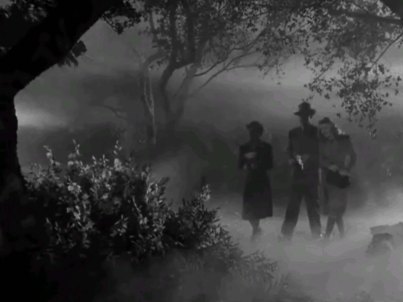 Jenny, Larry and Gwenn run across blooming wolfsbane